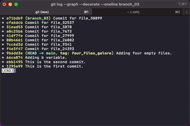 Output from `git log --graph --decorate --oneline branch_03` restricts the outlet from BASH script make_lots_of_branches.sh to a particular tag.