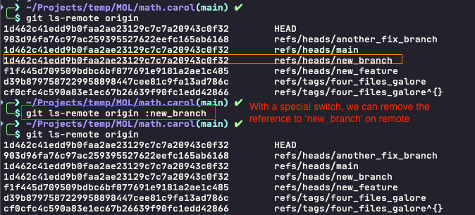 I have deleted the 'new_branch' at math.carol and a reference still exists to math.git, with a special switch `:new_branch` the reference can be removed.